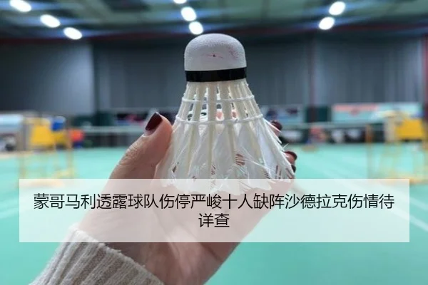 蒙哥马利透露球队伤停严峻十人缺阵沙德拉克伤情待详查 - kaiyun